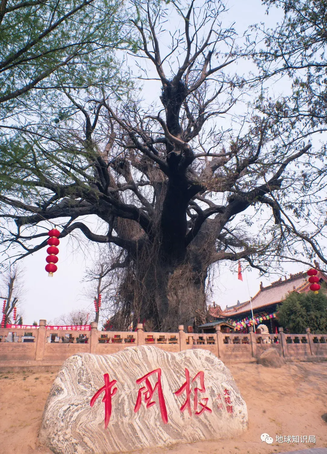 历史传说_舞狮的来源和传说历史_塞尔达传说历史