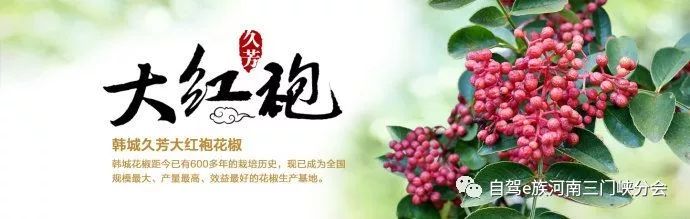 文化公园灯光秀2021_韩城文史公园灯光秀_韩城文史公园