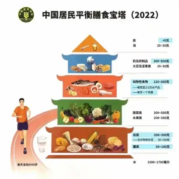 全国学生营养日图片儿童画_全国学生营养日宣传图片_全国学生营养日