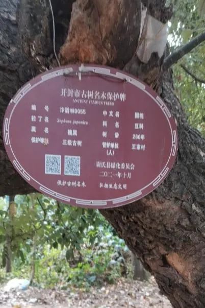 关于诚信的历史人物_诚信历史人物_诚信的人物事例2019