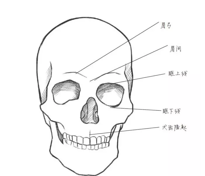 动漫人物_人物动漫头像_人物动漫绘画