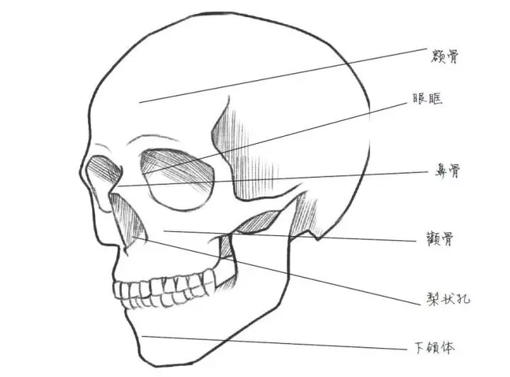 人物动漫头像_动漫人物_人物动漫绘画