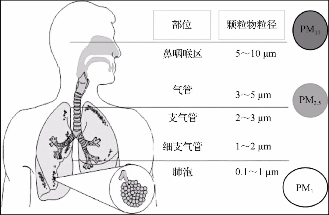 640.webp (12).jpg