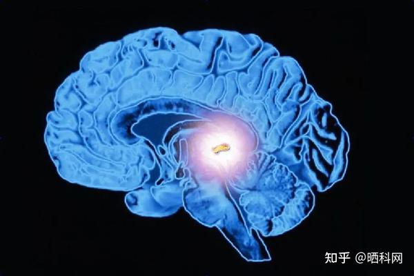 探索智慧交通_外星探索网_探索的