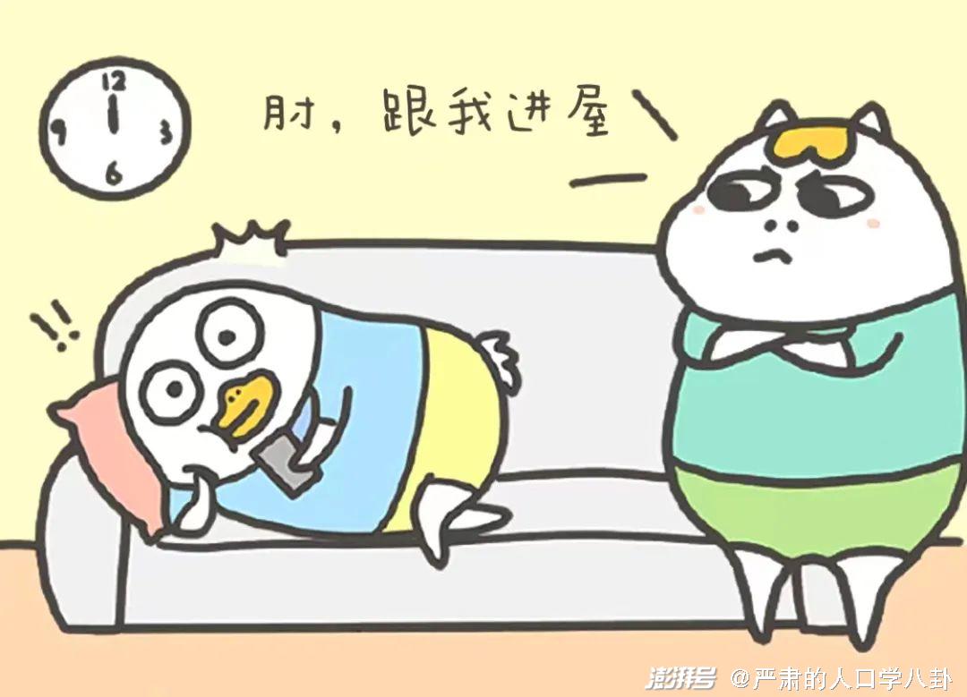 社会调查的两个关键_社会调查中最重要的一步是_社会调查的关键要素