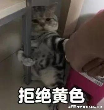 社会调查中最重要的一步是_社会调查的关键要素_社会调查的两个关键
