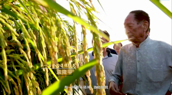 在全社会弘扬_弘扬社会正能量_弘扬社会正气下一句