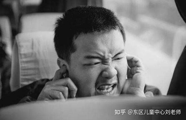 幼儿社会交往能力水平指标_交往社会能力幼儿教案_幼儿的社会交往能力