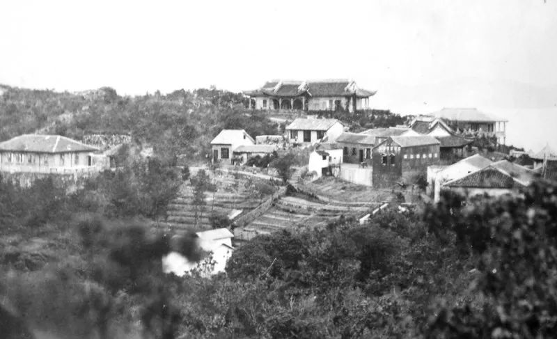 阳山水蜜桃历史渊源_阳山水蜜桃的历史_阳山水蜜桃的历史由来