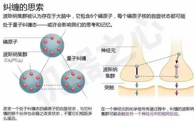 酶的本质探索_酶的探究历程_关于酶本质的探索历程