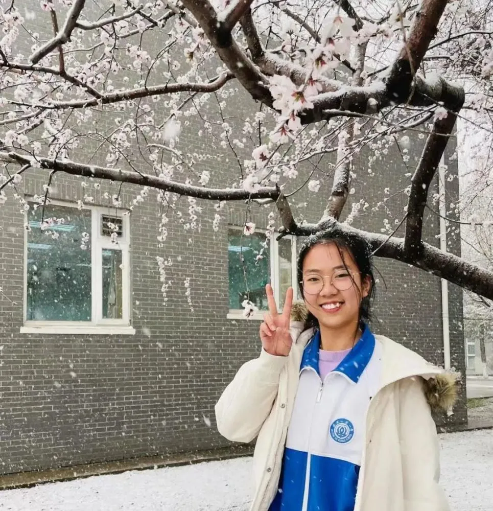 北京中学生实践活动管理平台_北京市中学生社会实践_北京中学生社会实践平台