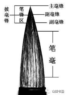 文史张之望_文史张家康_张文史