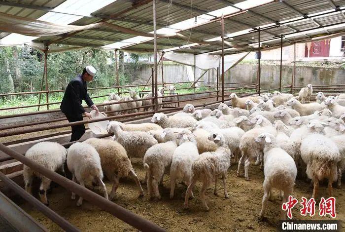 以下哪篇文章标志着党探索中国_探索中国_探索中国