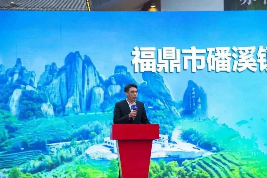 茶叶历史发展史_茶叶历史发展篇_茶叶的发展历史