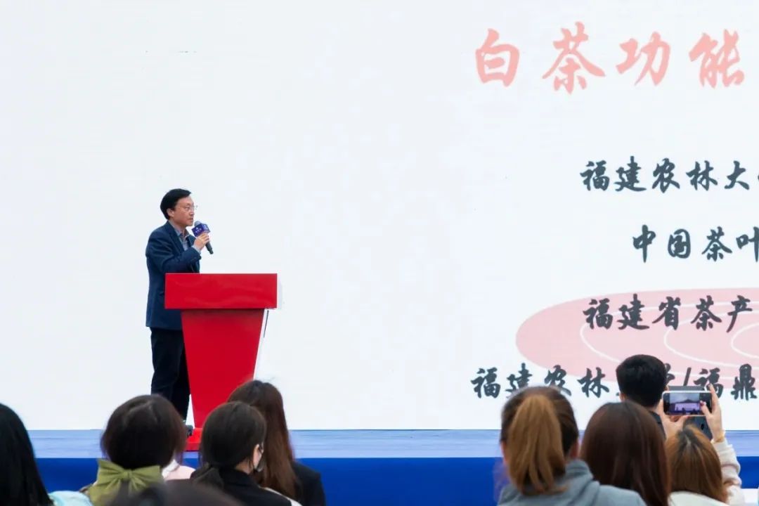 茶叶历史发展史_茶叶的发展历史_茶叶历史发展篇