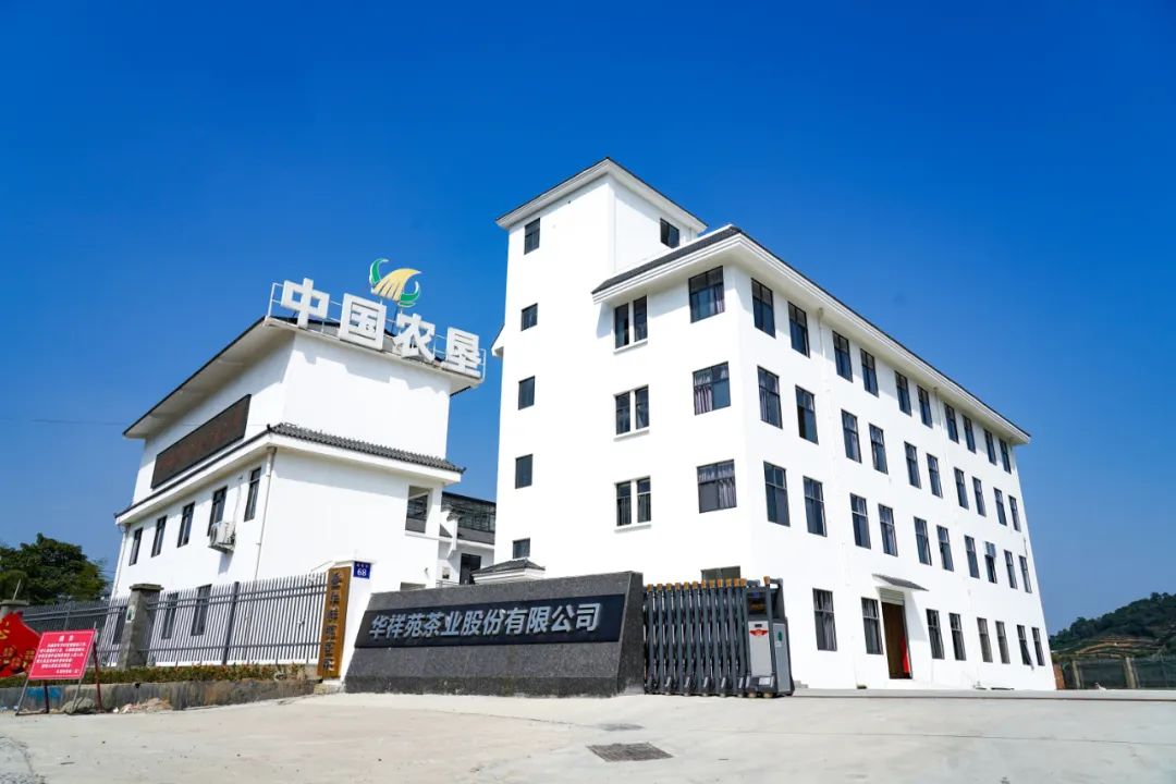茶叶历史发展史_茶叶的发展历史_茶叶历史发展篇