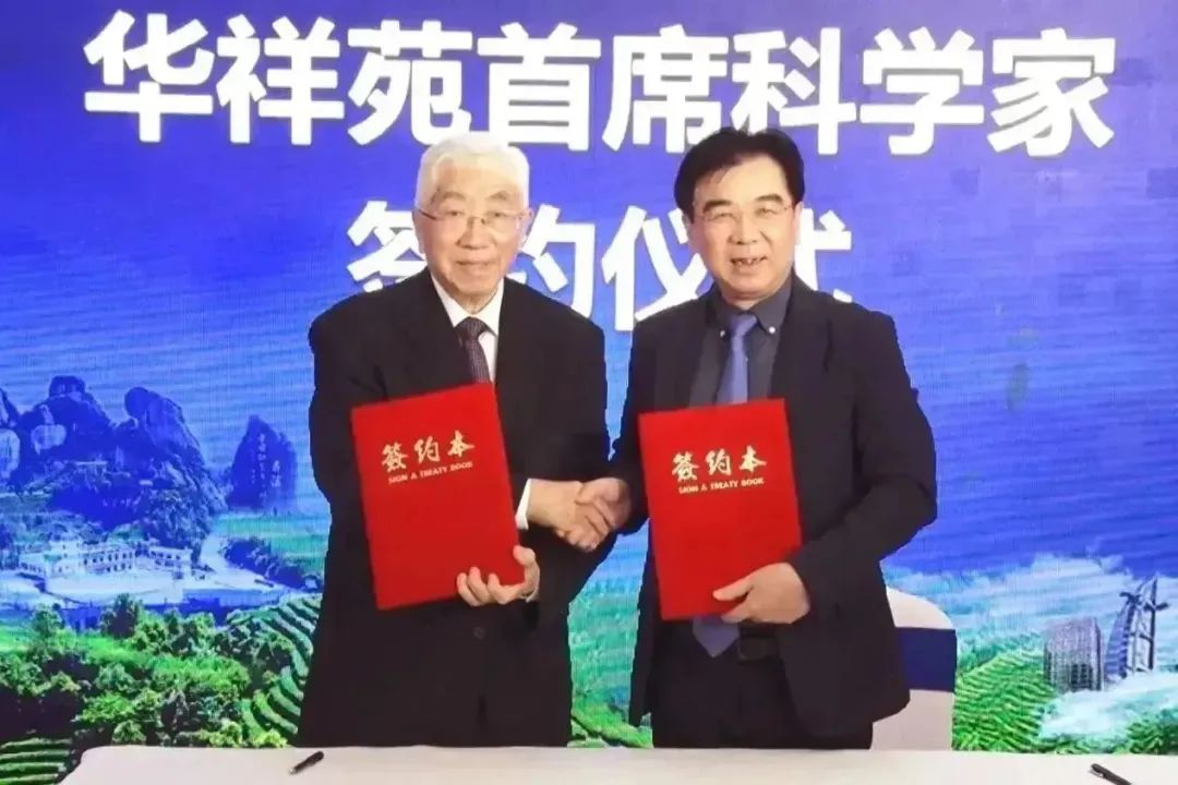 茶叶的发展历史_茶叶历史发展篇_茶叶历史发展史