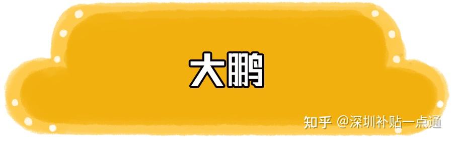 深圳人力资源和社会保障_人力资源社会保障局深圳_深圳社会保障人力资源网官网