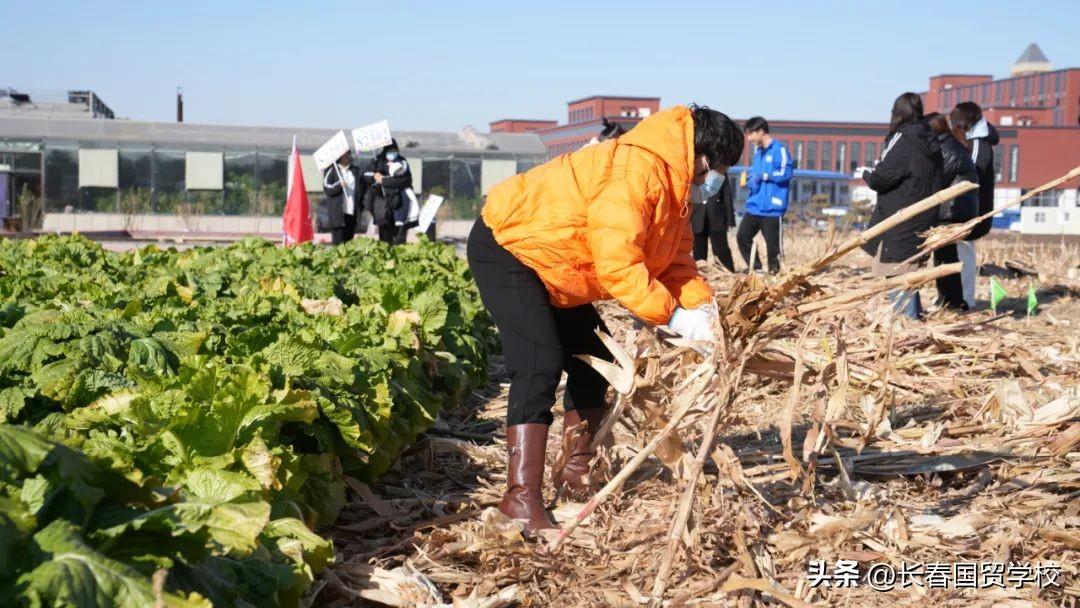 高中实践社会活动有哪些_高中社会实践活动内容范文_高中社会实践活动