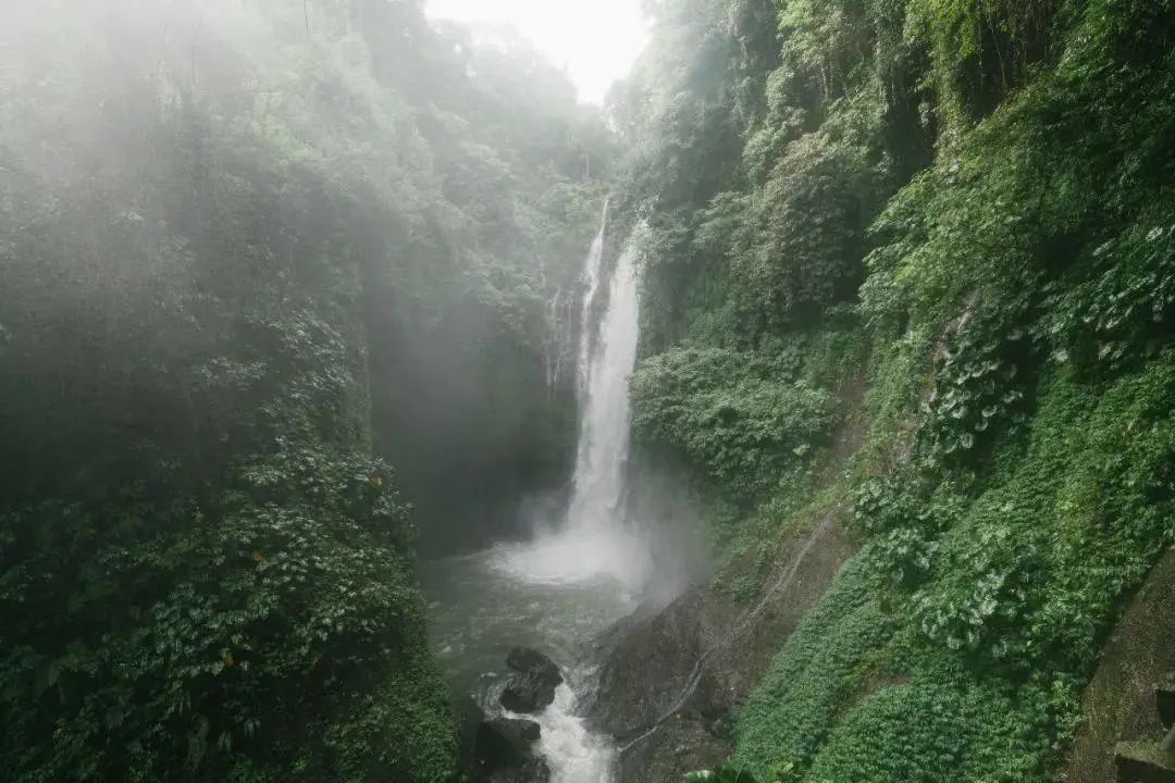 历史研究汤因比内容简介_汤因比的历史研究_历史研究汤因比读后感