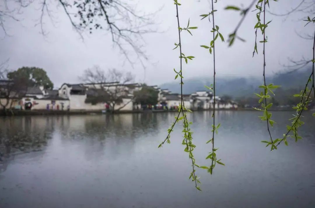 历史研究汤因比读后感_汤因比的历史研究_历史研究汤因比内容简介