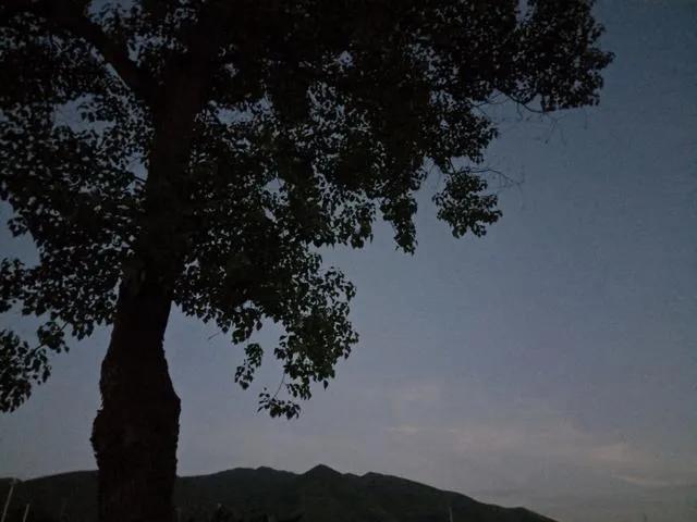 社会摸爬滚打总结语句_摸滚打爬还是摸爬滚打_在社会上摸爬滚打
