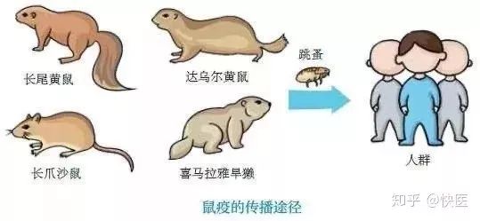 社会特征是指_特征社会一般问题是什么_社会问题的一般特征是