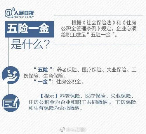 购买社会保险_参保社会保险_未缴纳社会保险