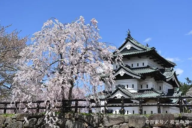 日本现在是低欲望社会吗_日本低欲望社会形成的原因_日本低欲望社会