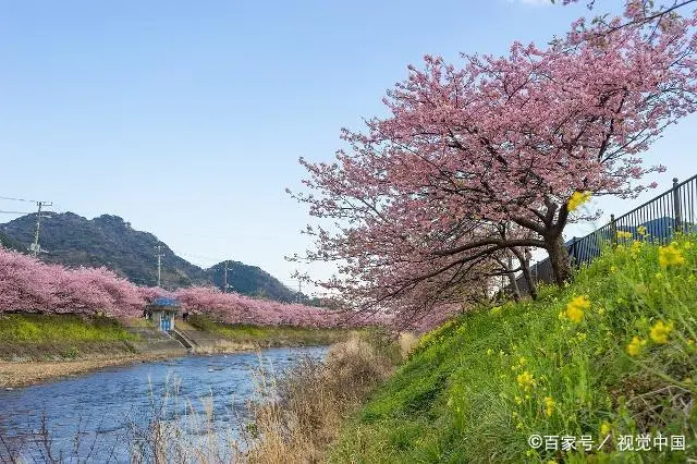 日本现在是低欲望社会吗_日本低欲望社会形成的原因_日本低欲望社会