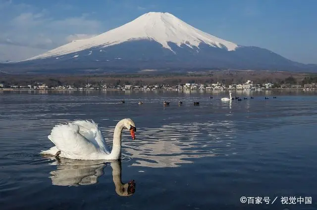 日本低欲望社会_日本低欲望社会形成的原因_日本现在是低欲望社会吗