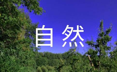 关于探索大自然的作文锦集九篇