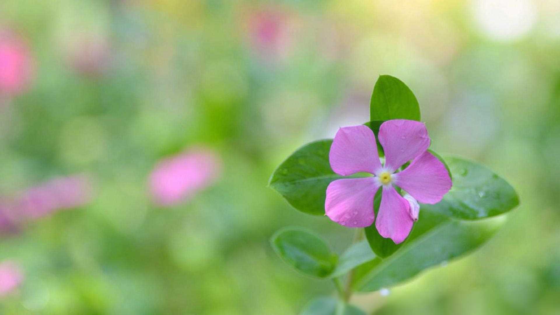 现代社会的内涵_现代社会的重要内核是什么_社会内涵的内容