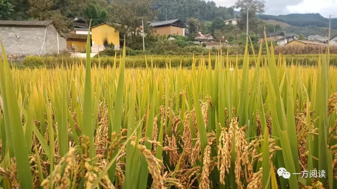 历史传说_传说历史人物故事_传说历史故事