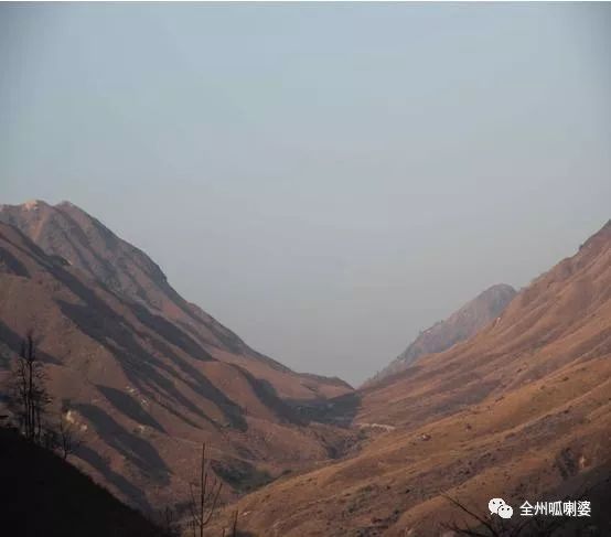 传说历史故事_舞狮的来源和传说历史_历史传说
