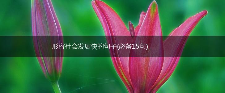 形容社会发展快的句子(必备15句),第1张