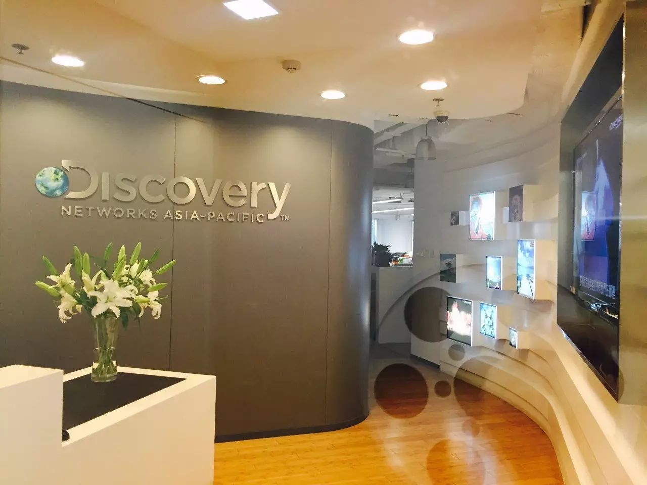 discovery探索频道_discovery探索频道_discovery探索频道