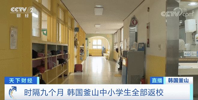 韩国学生义勇军_韩国学生_韩国学生打架视频