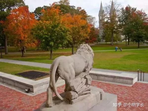 学府开放美国了吗_开放的美国学府几分_开放的美国学府