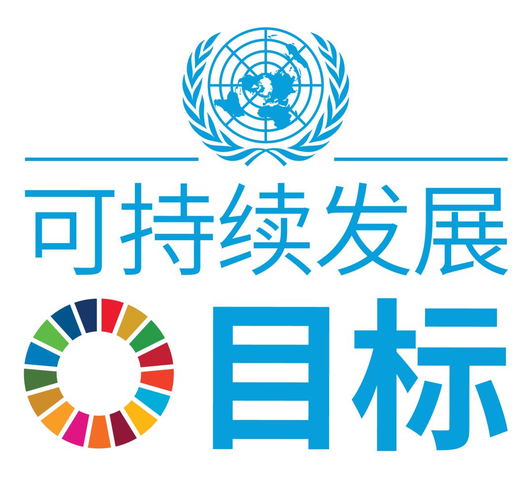 当今社会青少年的责任_青少年的社会责任是什么_青少年责任社会是谁提出的