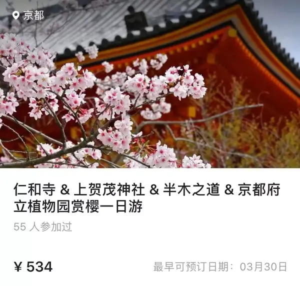 樱花历史典故_樱花历史文化诗词歌赋_樱花历史