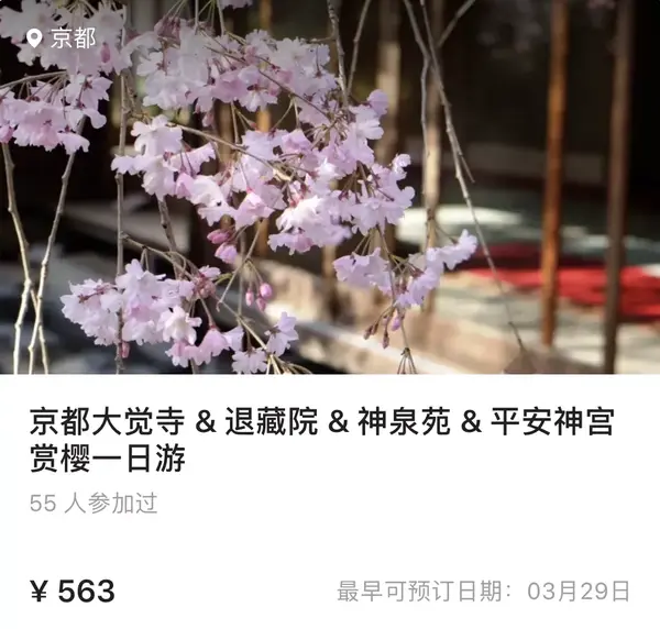 樱花历史典故_樱花历史_樱花历史文化诗词歌赋