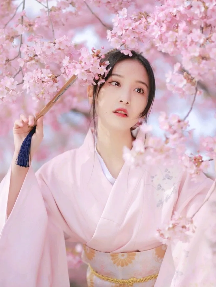 樱花历史简介_樱花历史来源_樱花历史