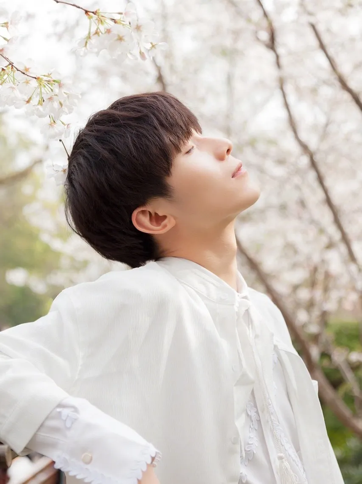 樱花历史来源_樱花历史_樱花历史简介