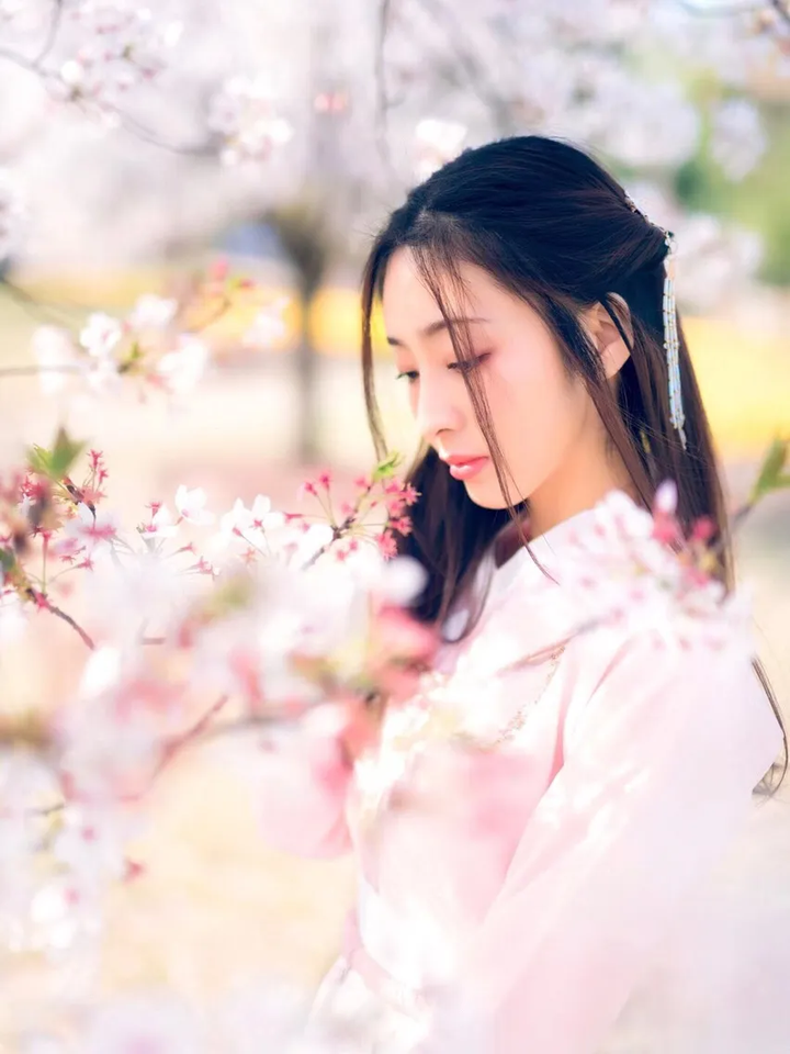 樱花历史简介_樱花历史来源_樱花历史
