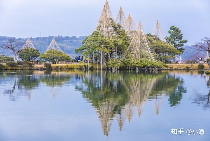 樱花历史来源_樱花历史典故_樱花历史