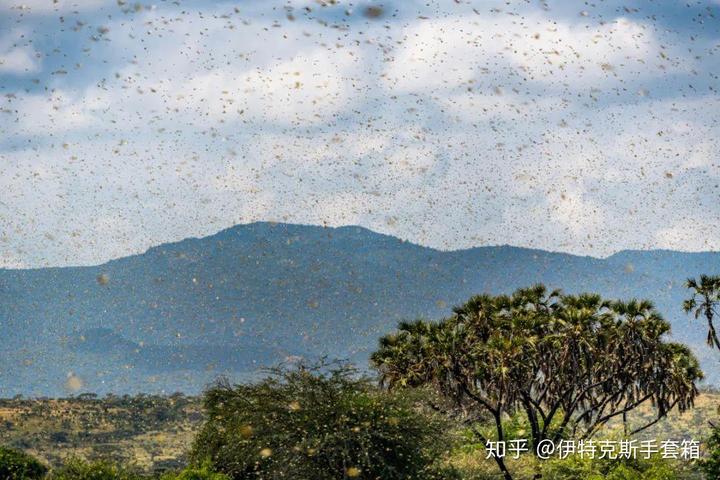 探索宇宙历史_探索宇宙取得的成就_我国探索宇宙的历程和成就