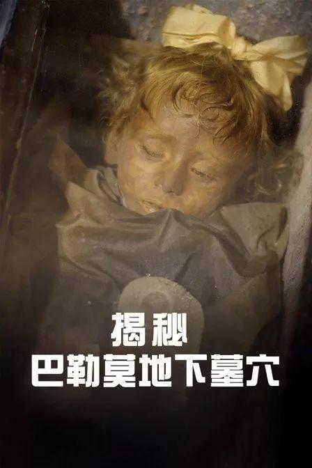 文史片_文史片反_文史