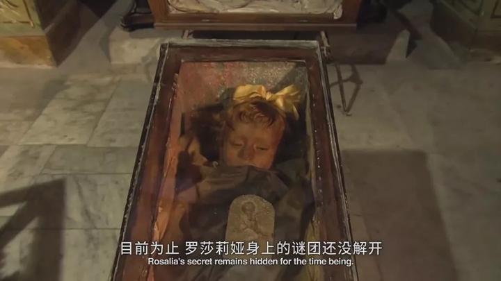 文史_文史片反_文史片