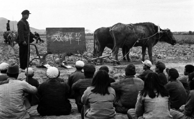 中国汉字的历史资料_中国汉字历史_中国汉字的厉史